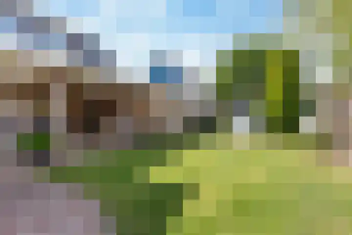 De Boorne 9 Haaksbergen thumbnail 20