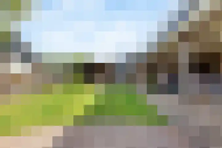 De Boorne 9 Haaksbergen thumbnail 22