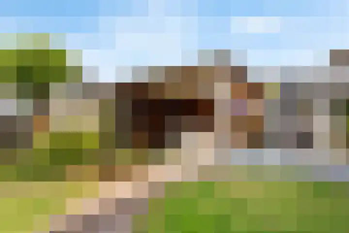 De Boorne 9 Haaksbergen thumbnail 23
