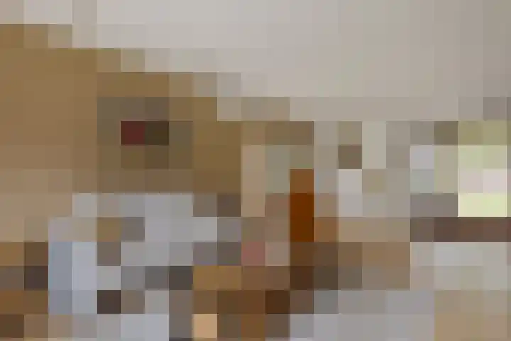 De Boorne 9 Haaksbergen thumbnail 5