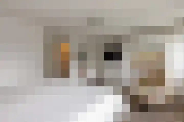 De Boorne 9 Haaksbergen thumbnail 7