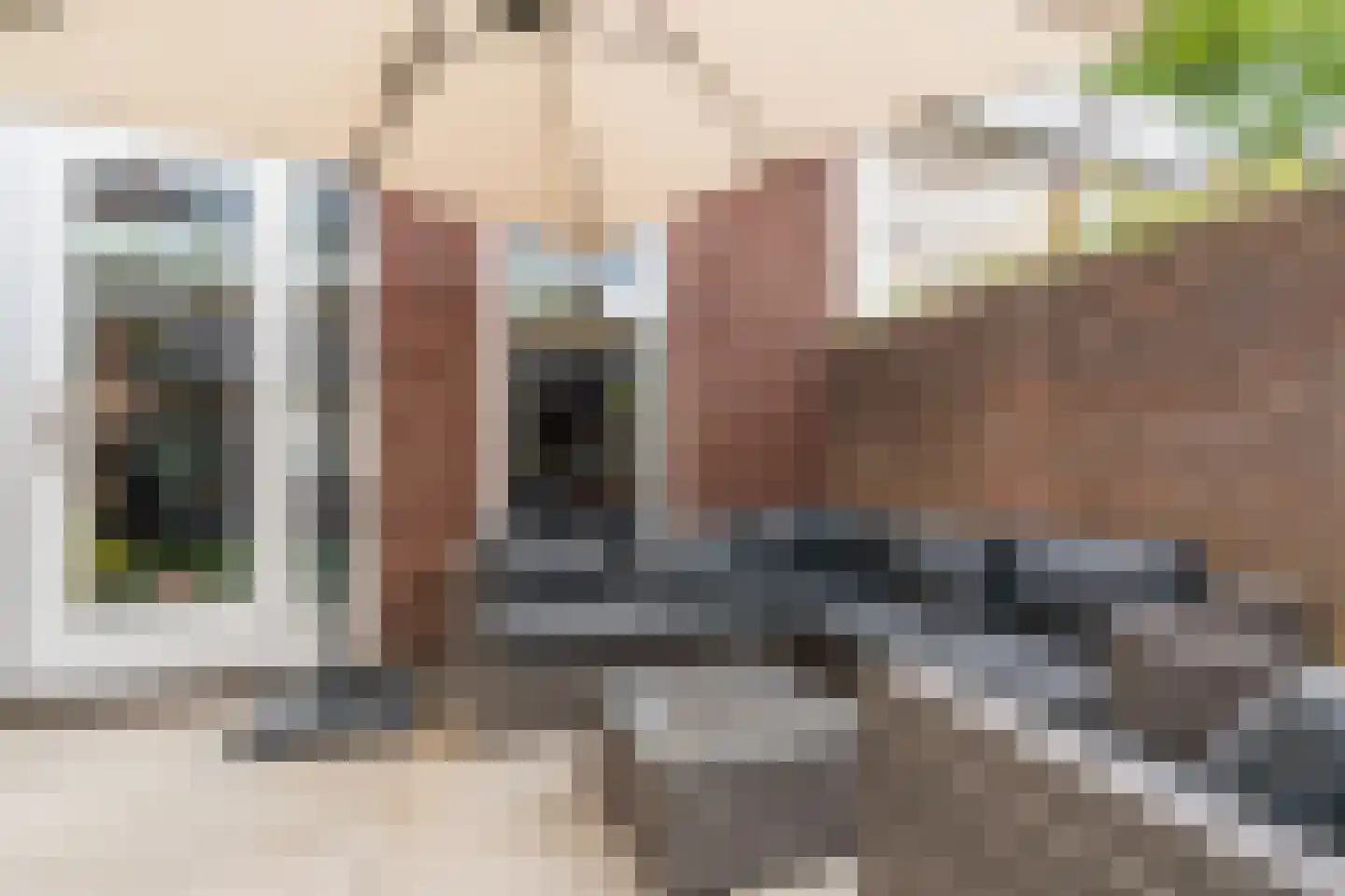 De Borchgravestraat 64 Veldhoven thumbnail 46