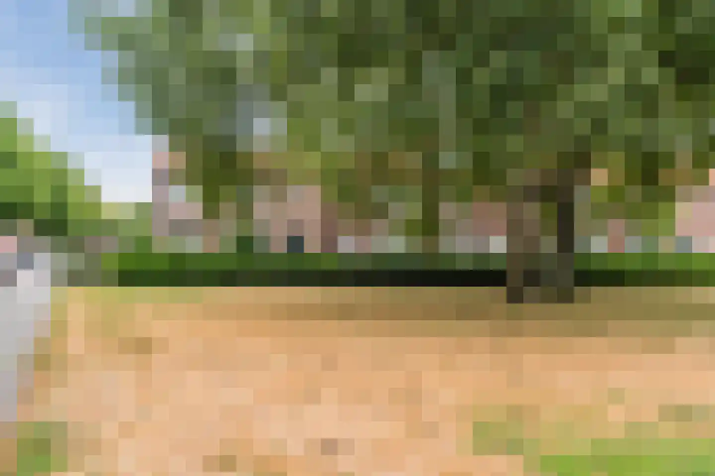 De Borchgravestraat 64 Veldhoven thumbnail 51
