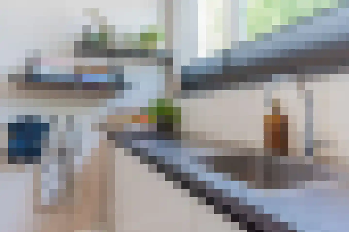 De Borchgravestraat 68 Veldhoven thumbnail 17