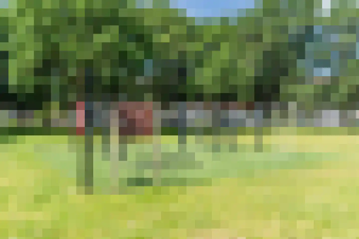 De Borchgravestraat 68 Veldhoven thumbnail 43