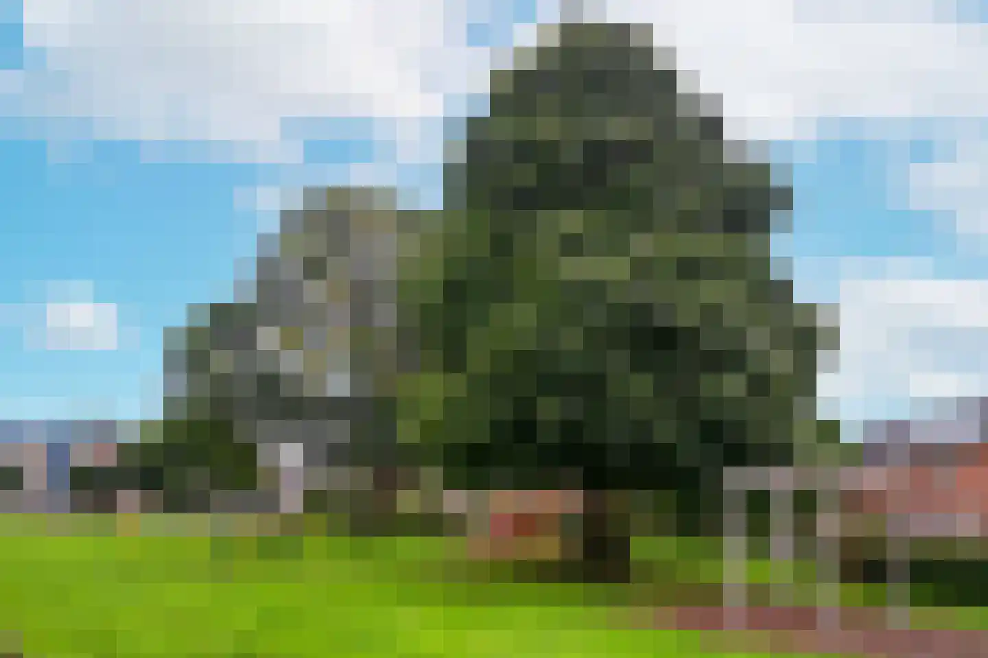de Borsaliastraat 27 Mijdrecht thumbnail 33