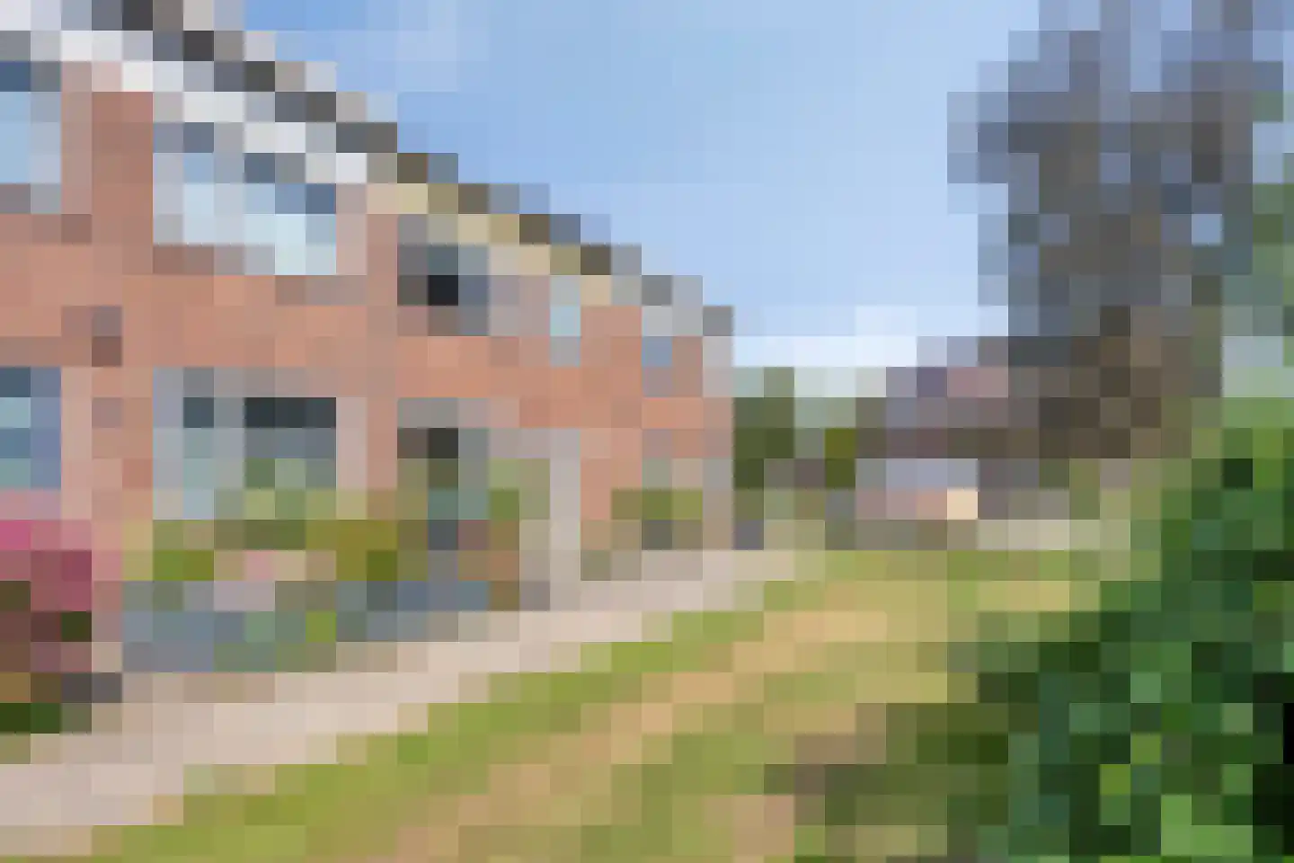 de Borsaliastraat 4 Mijdrecht thumbnail 27