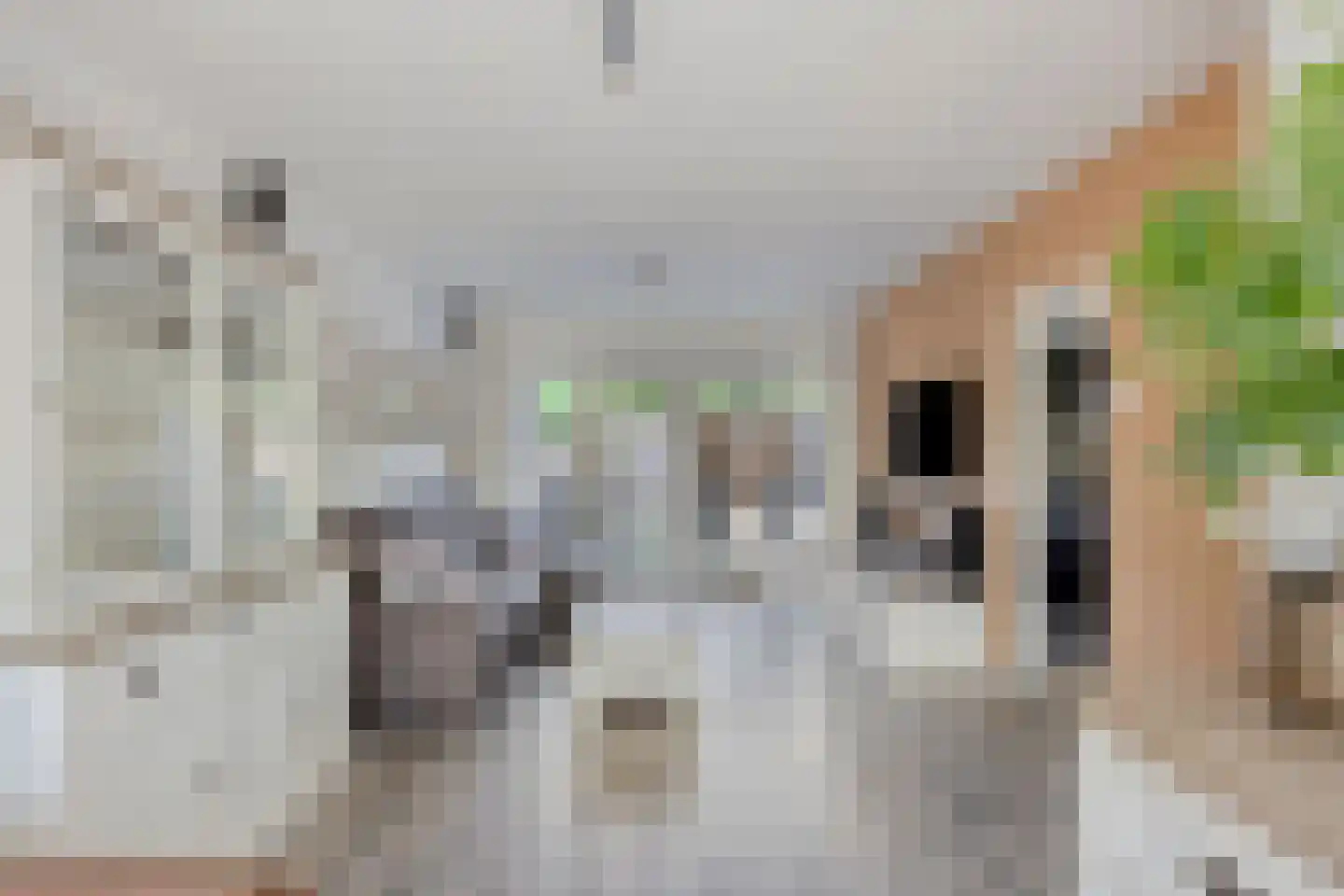 de Borsaliastraat 4 Mijdrecht thumbnail 4