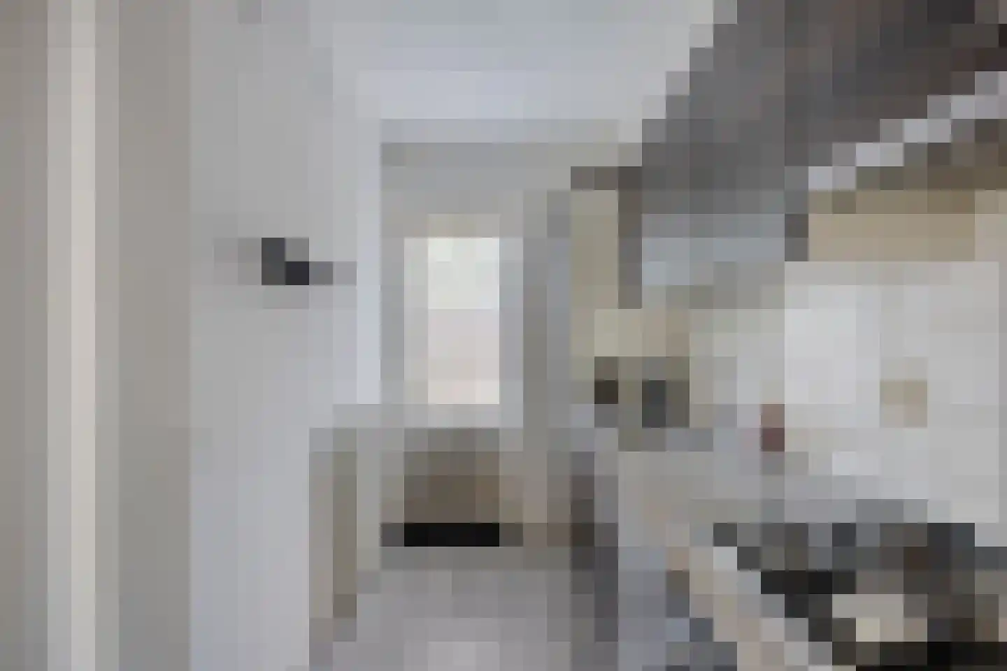 de Borsaliastraat 4 Mijdrecht thumbnail 9
