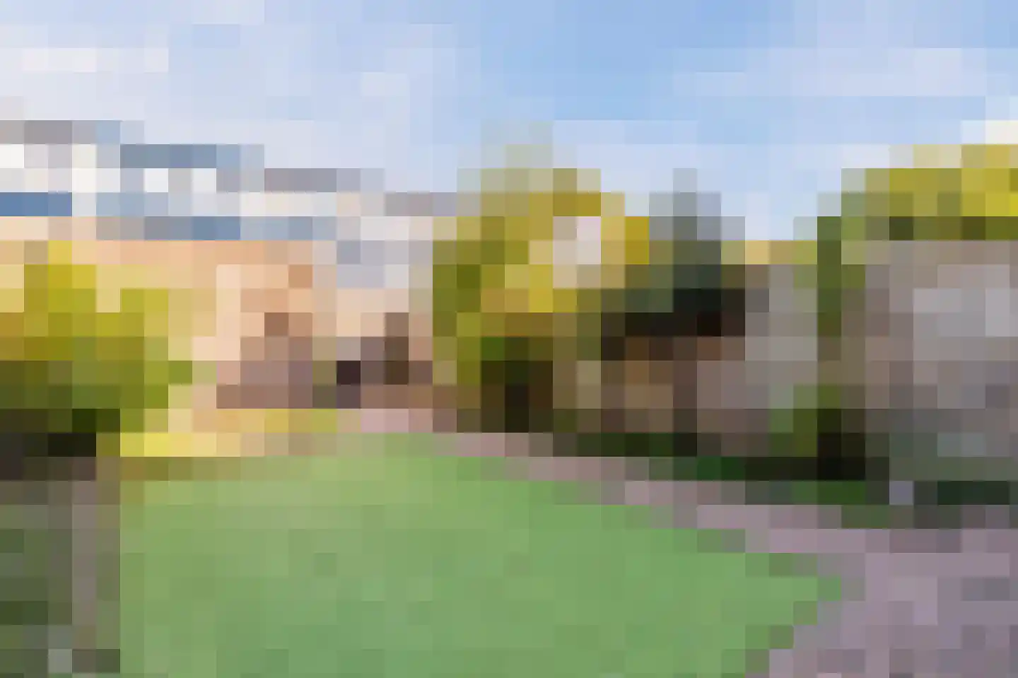 de Borsaliastraat 43 Mijdrecht thumbnail 19