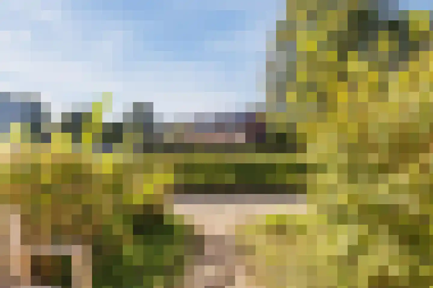de Borsaliastraat 43 Mijdrecht thumbnail 23