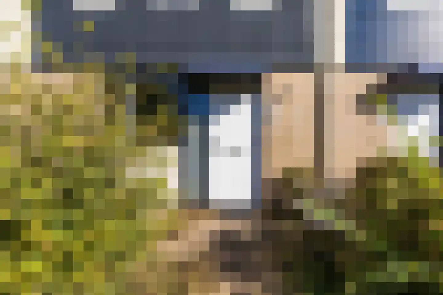 de Borsaliastraat 43 Mijdrecht thumbnail 26