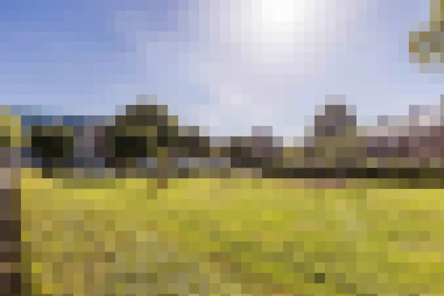 de Borsaliastraat 43 Mijdrecht thumbnail 27