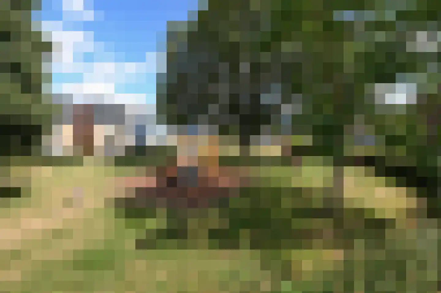 de Borsaliastraat 44 Mijdrecht thumbnail 30