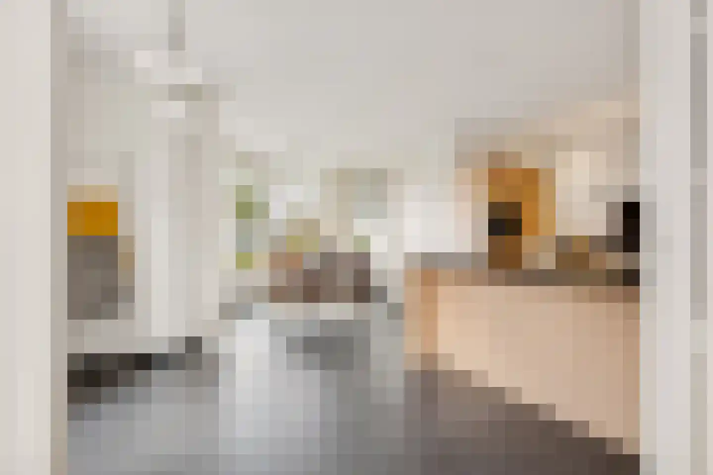 De Bosberg 28 Boekel thumbnail 18