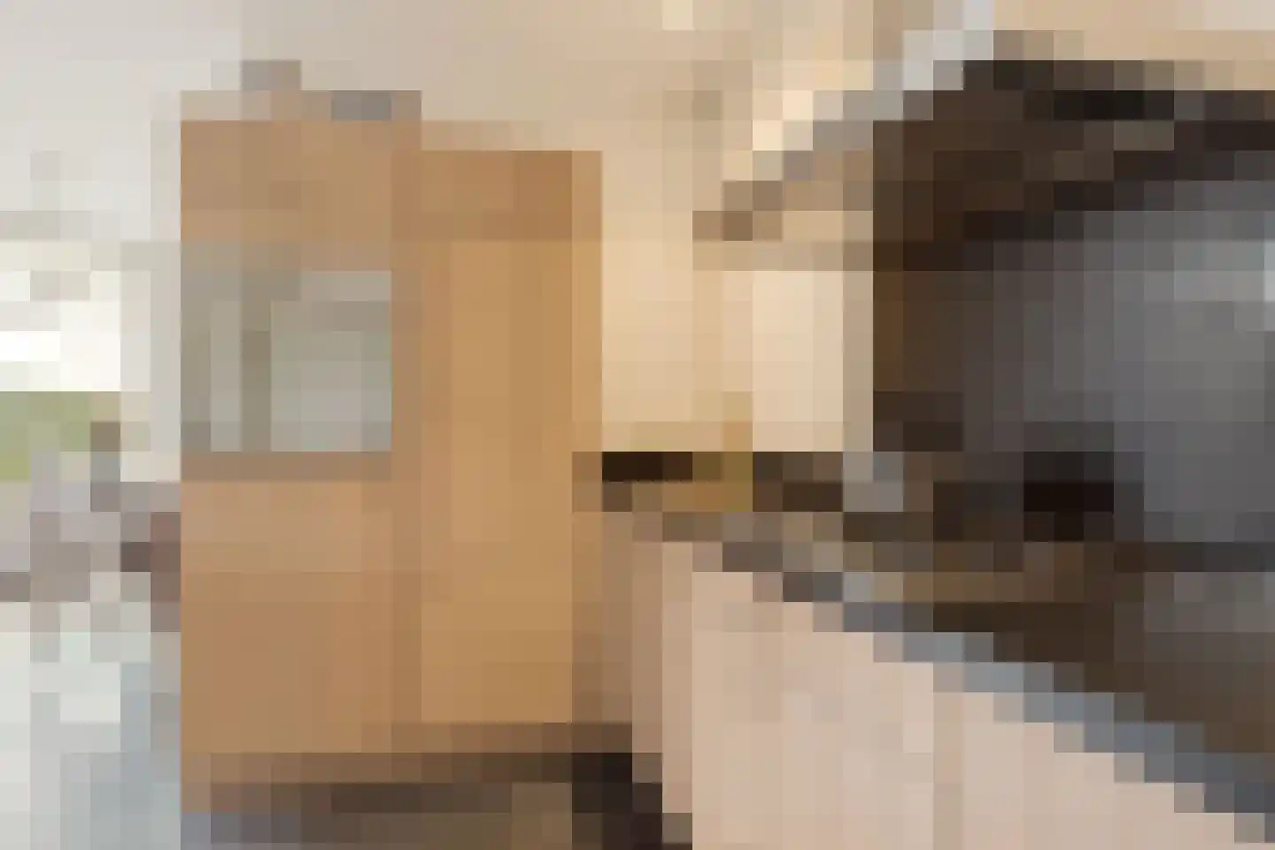De Bosberg 28 Boekel thumbnail 22