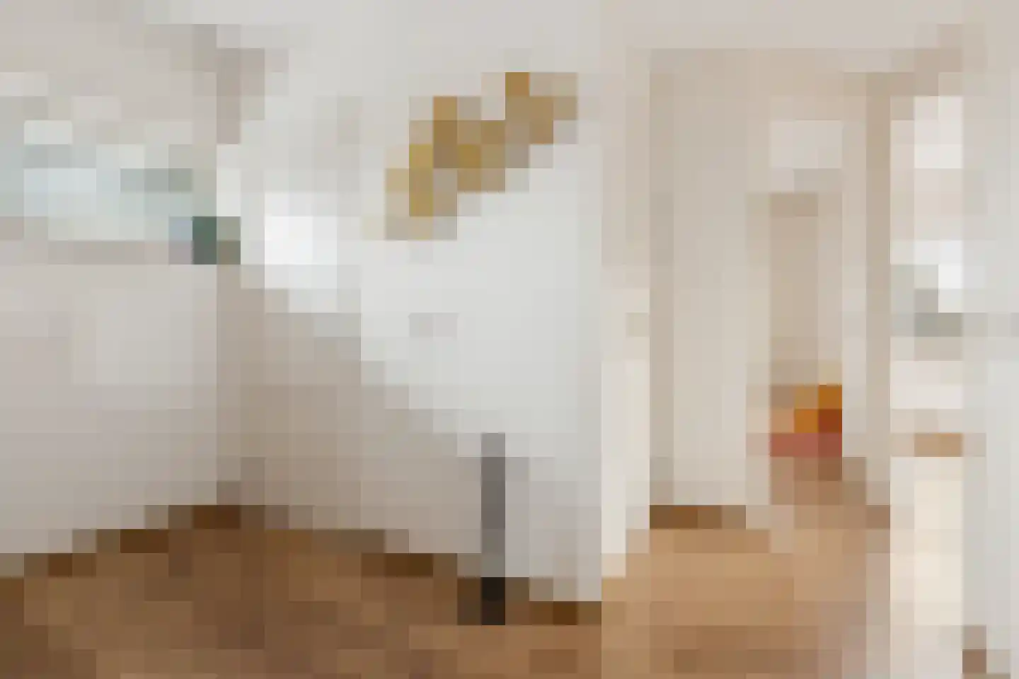 De Bosberg 28 Boekel thumbnail 31