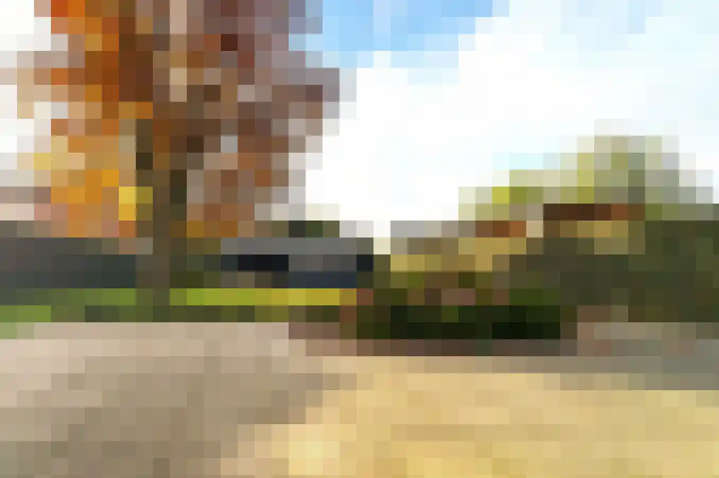 De Bosberg 28 Boekel thumbnail 57