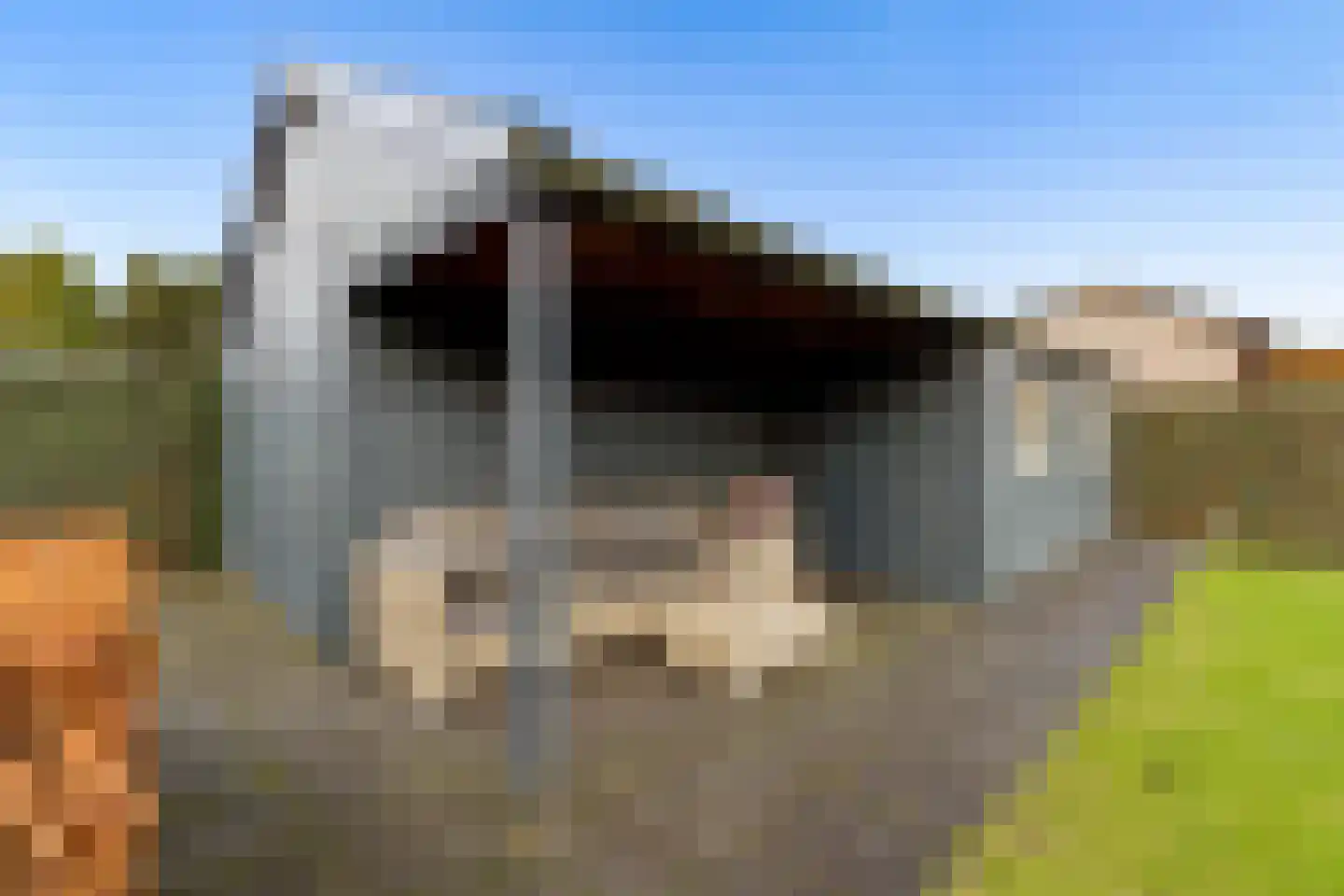 De Bosberg 28 Boekel thumbnail 58