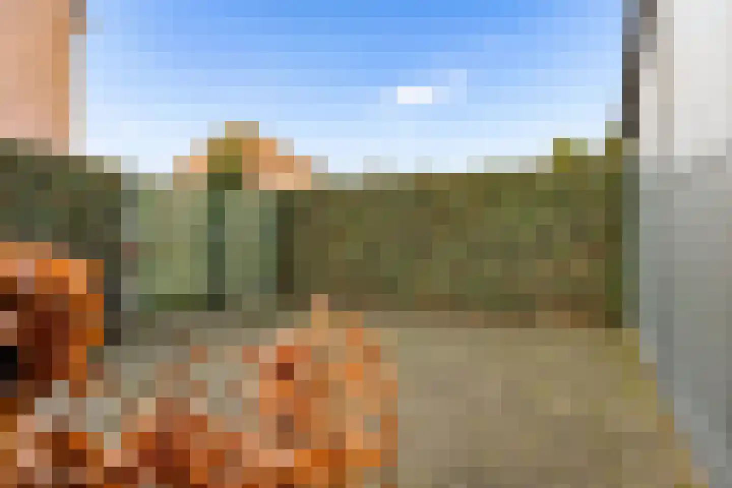 De Bosberg 28 Boekel thumbnail 59
