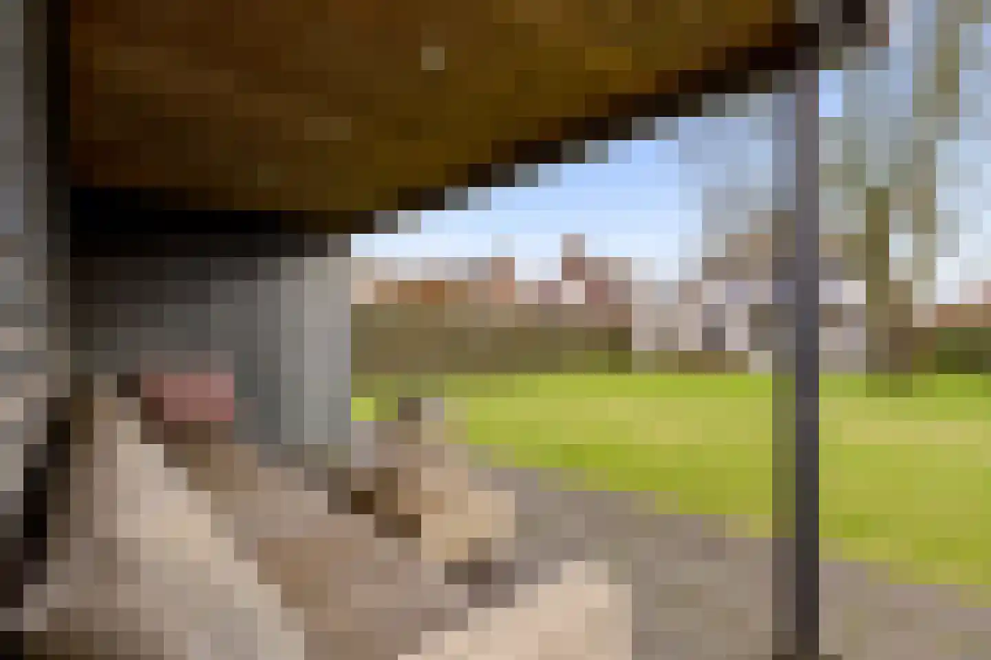 De Bosberg 28 Boekel thumbnail 60