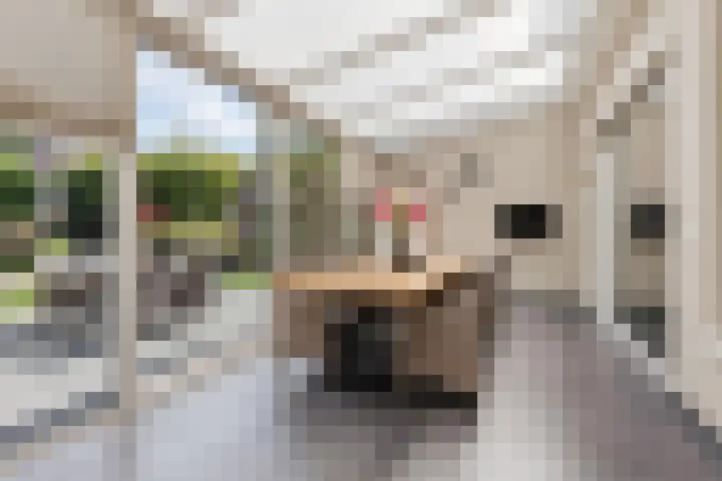 De Bosberg 43 Boekel thumbnail 23
