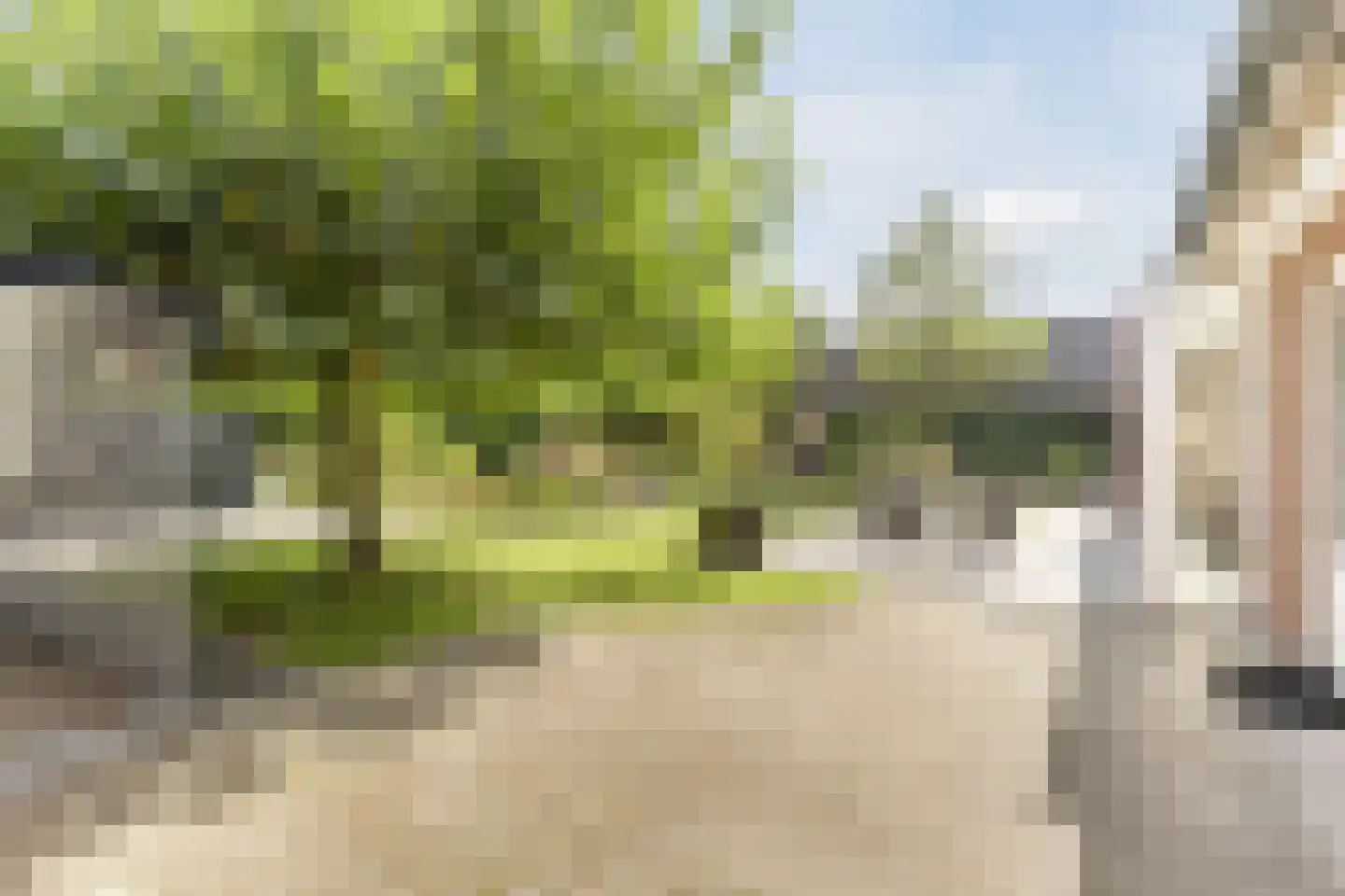De Bosberg 43 Boekel thumbnail 44