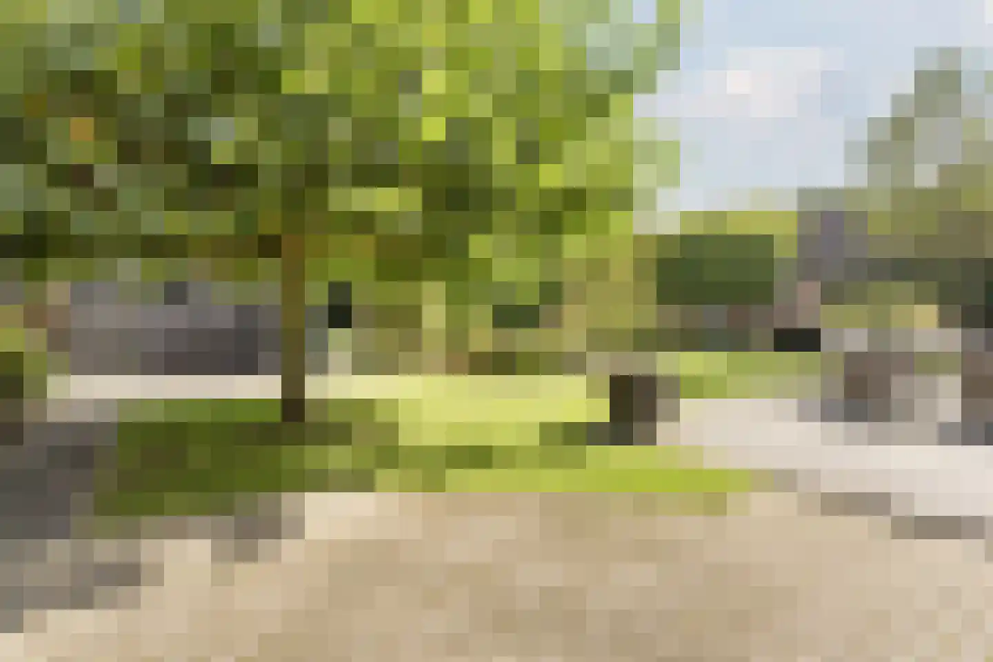 De Bosberg 43 Boekel thumbnail 45