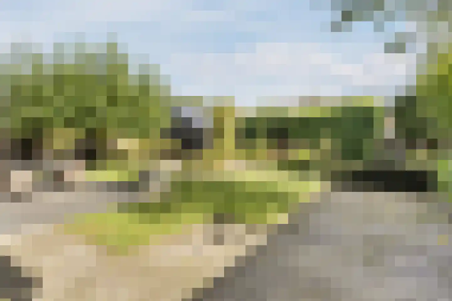 De Bosberg 43 Boekel thumbnail 46