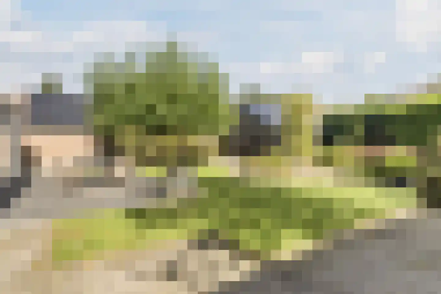 De Bosberg 43 Boekel thumbnail 47