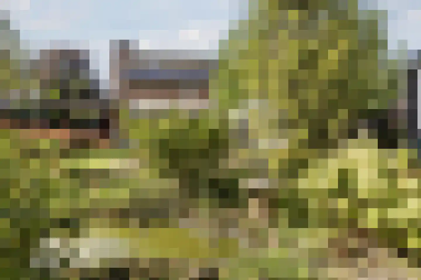 De Bosberg 43 Boekel thumbnail 51