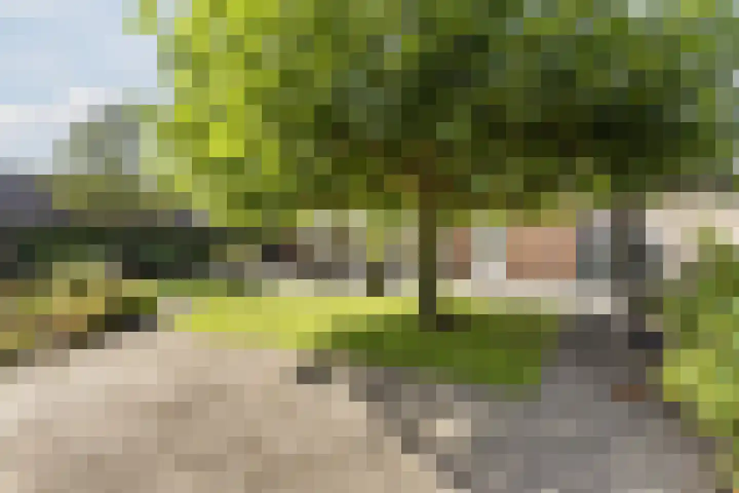 De Bosberg 43 Boekel thumbnail 52