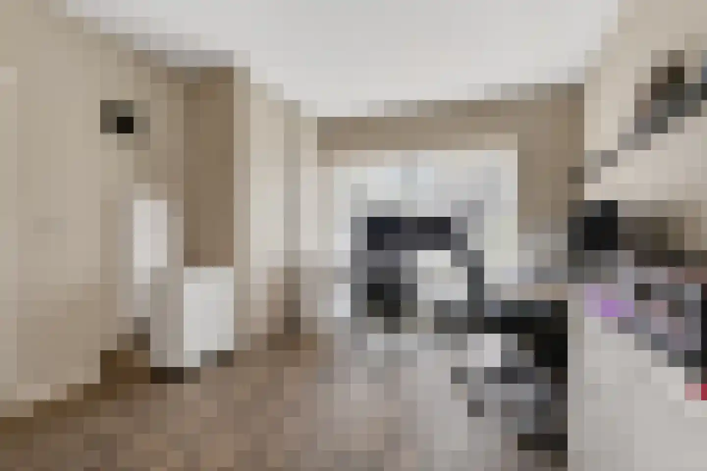 De Bosberg 43 Boekel thumbnail 8