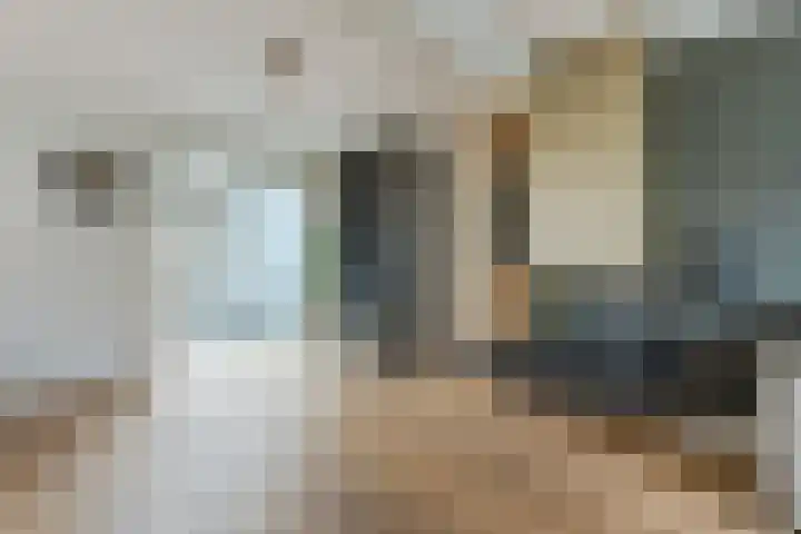 De Bosberg 51 Boekel thumbnail 12