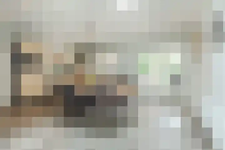 De Bosberg 51 Boekel thumbnail 15