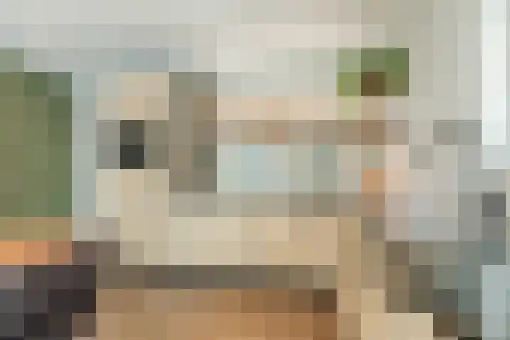 De Bosberg 51 Boekel thumbnail 18