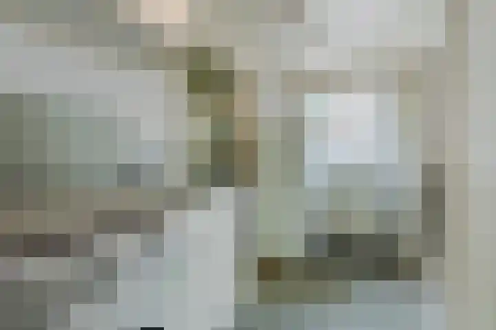 De Bosberg 51 Boekel thumbnail 21
