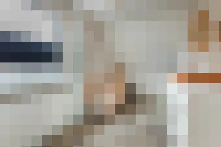 De Bosberg 51 Boekel thumbnail 26