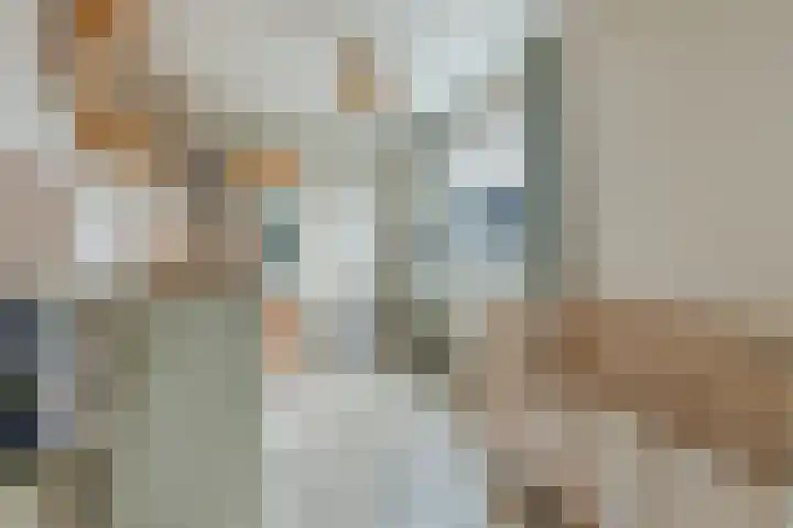 De Bosberg 51 Boekel thumbnail 31