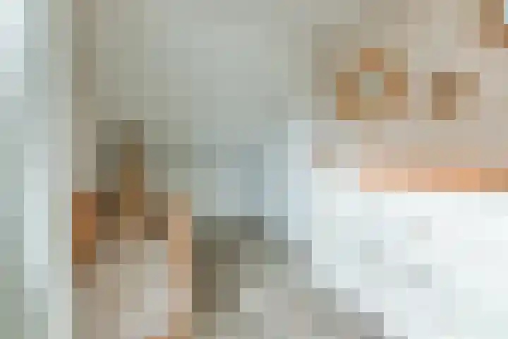 De Bosberg 51 Boekel thumbnail 32