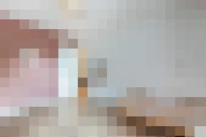 De Bosberg 51 Boekel thumbnail 35