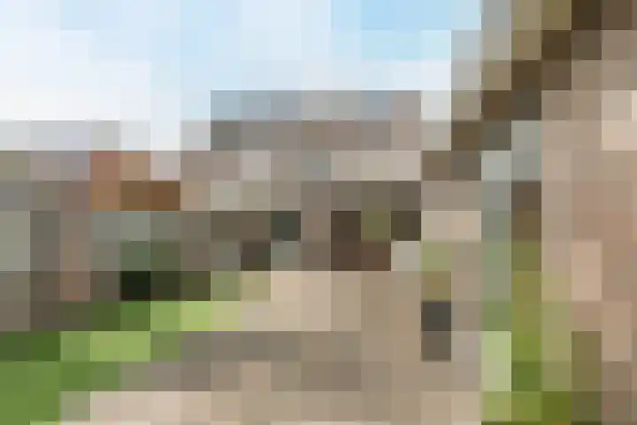 De Bosberg 51 Boekel thumbnail 44