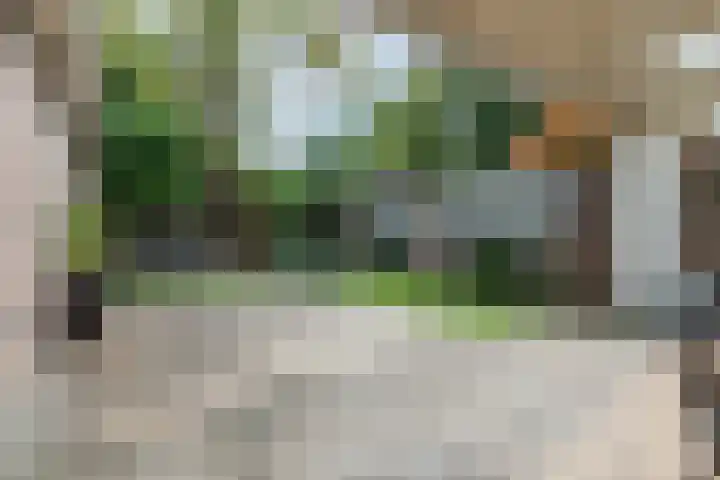 De Bosberg 51 Boekel thumbnail 46