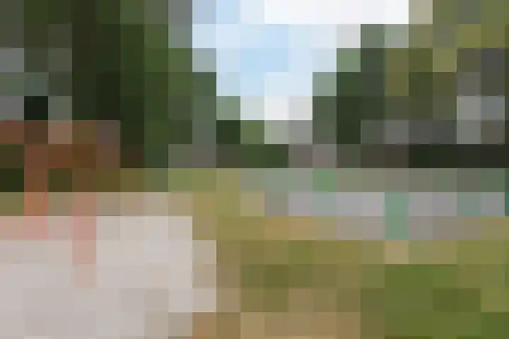 De Bosberg 51 Boekel thumbnail 48