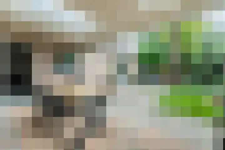 De Bosberg 51 Boekel thumbnail 5