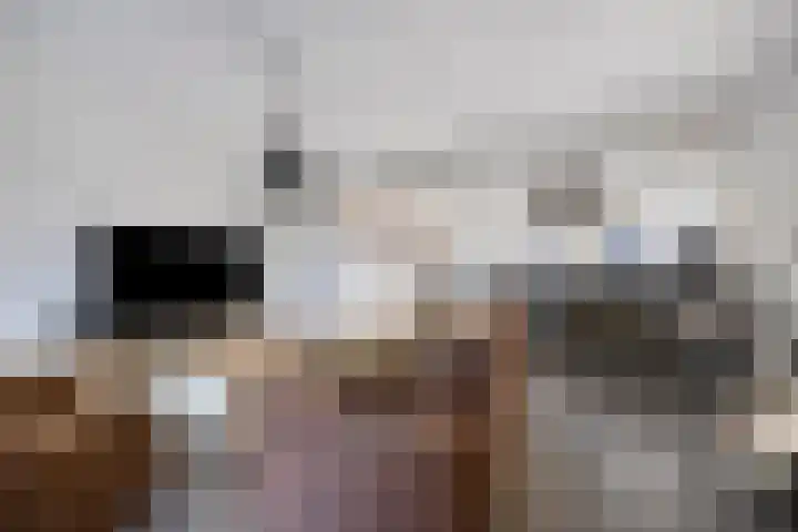De Bosberg 7 Boekel thumbnail 7