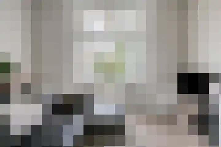 De Bosch Kemperlaan 13 Amersfoort thumbnail 10