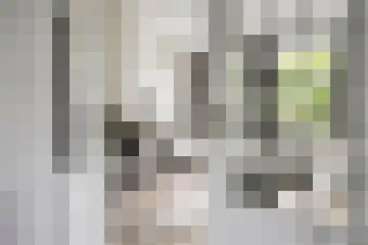 De Bosch Kemperlaan 13 Amersfoort thumbnail 12
