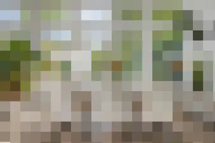 De Bosch Kemperlaan 13 Amersfoort thumbnail 14