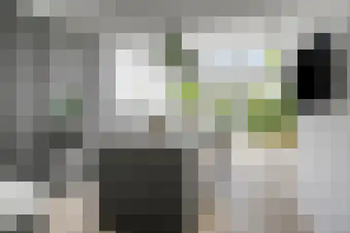 De Bosch Kemperlaan 13 Amersfoort thumbnail 17
